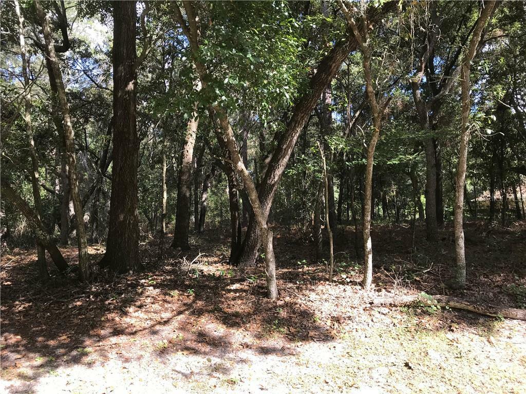 Property Photo:  133 Piney Woods Road  FL 32703 