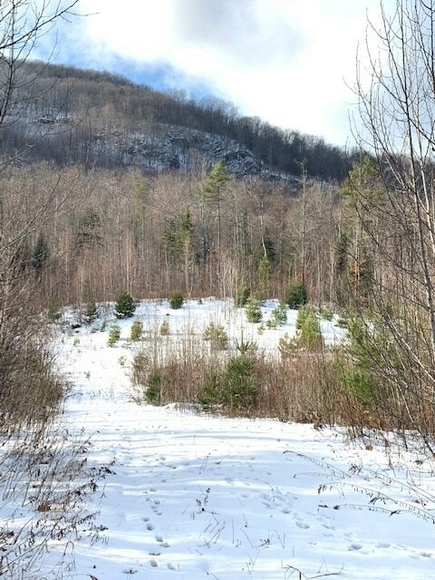 Property Photo: 0 Skinny Ridge Road NH 03585