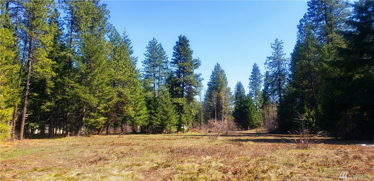 Property Photo:  0 Old Cedars Road  WA 98922 