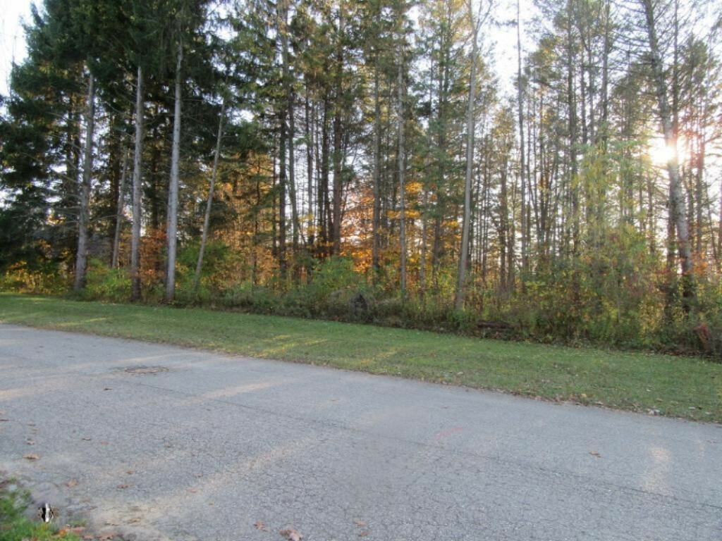 Property Photo:  13700 Deer Creek Drive  MI 49090 