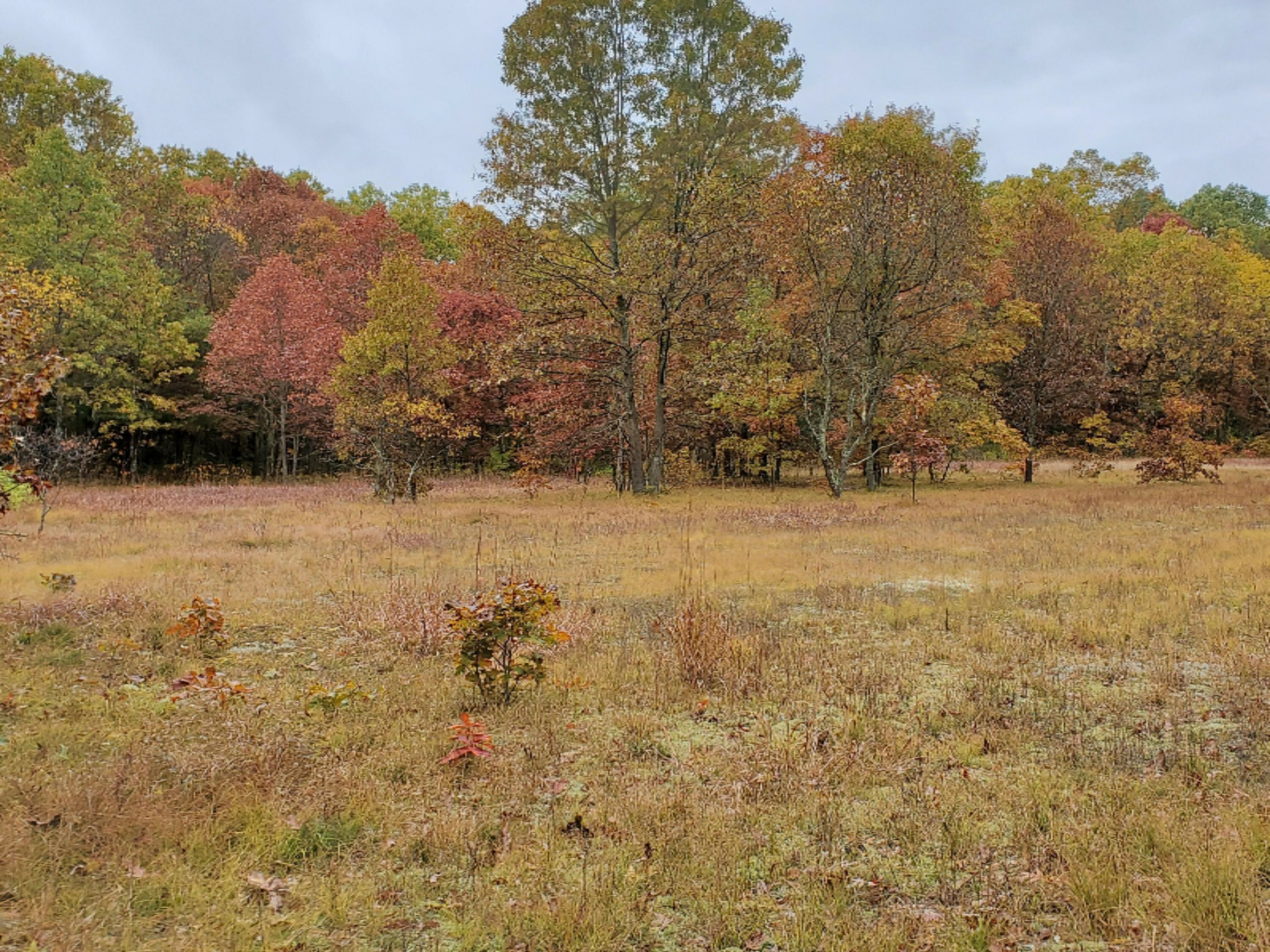 Property Photo:  0 Ewing Road  MI 49457 