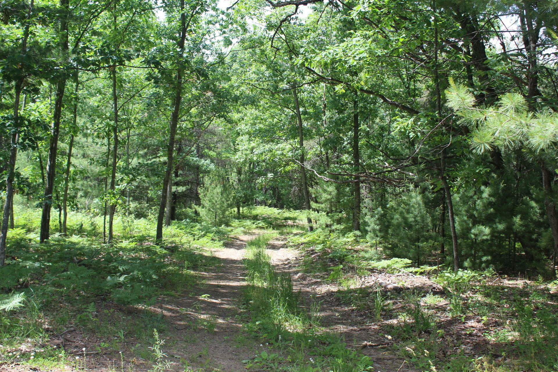 Property Photo:  N. Pine Avenue  MI 49338 