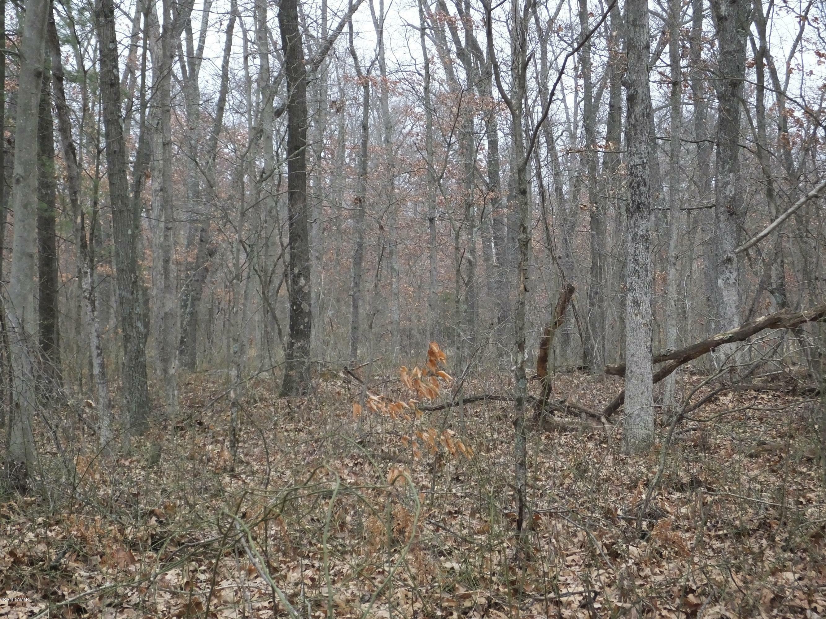 Property Photo:  0 108th Street  MI 49450 