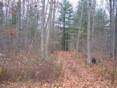 Property Photo:  0 Liland Trace  MI 49408 
