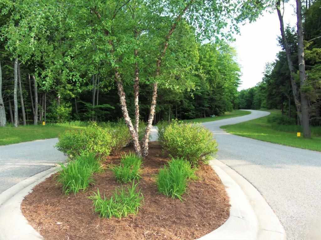 8347 Pleasantview Woods Lot 25  Harbor Springs MI 49740 photo