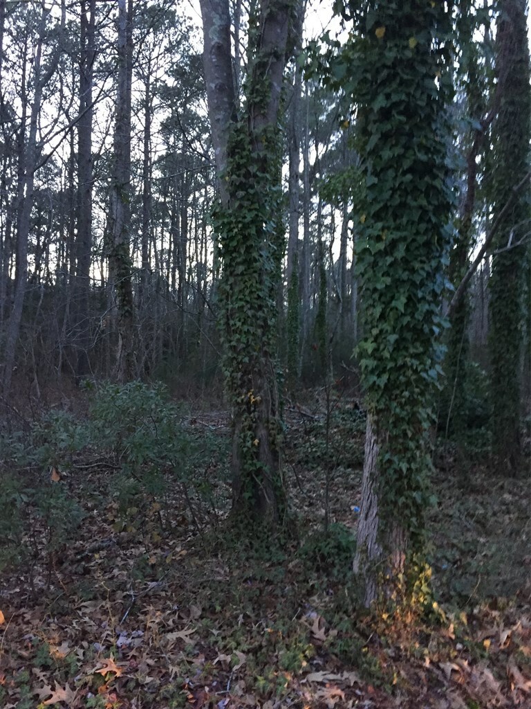 Property Photo:  Lot6&7 Daugherty Rd  VA 23418 