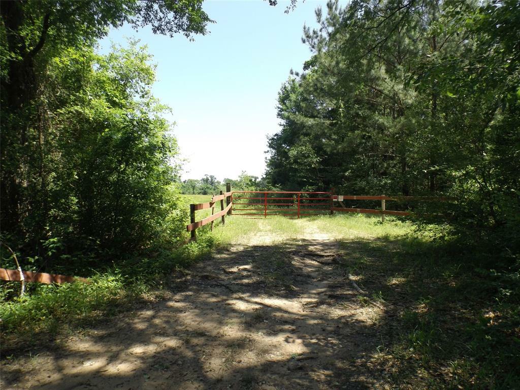 Property Photo:  12689 County Road 201  TX 77363 