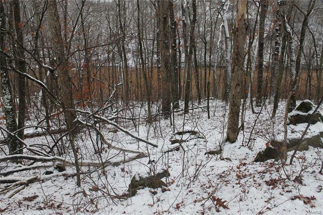 Property Photo: 1961 Sugar Hollow Court MO 63357