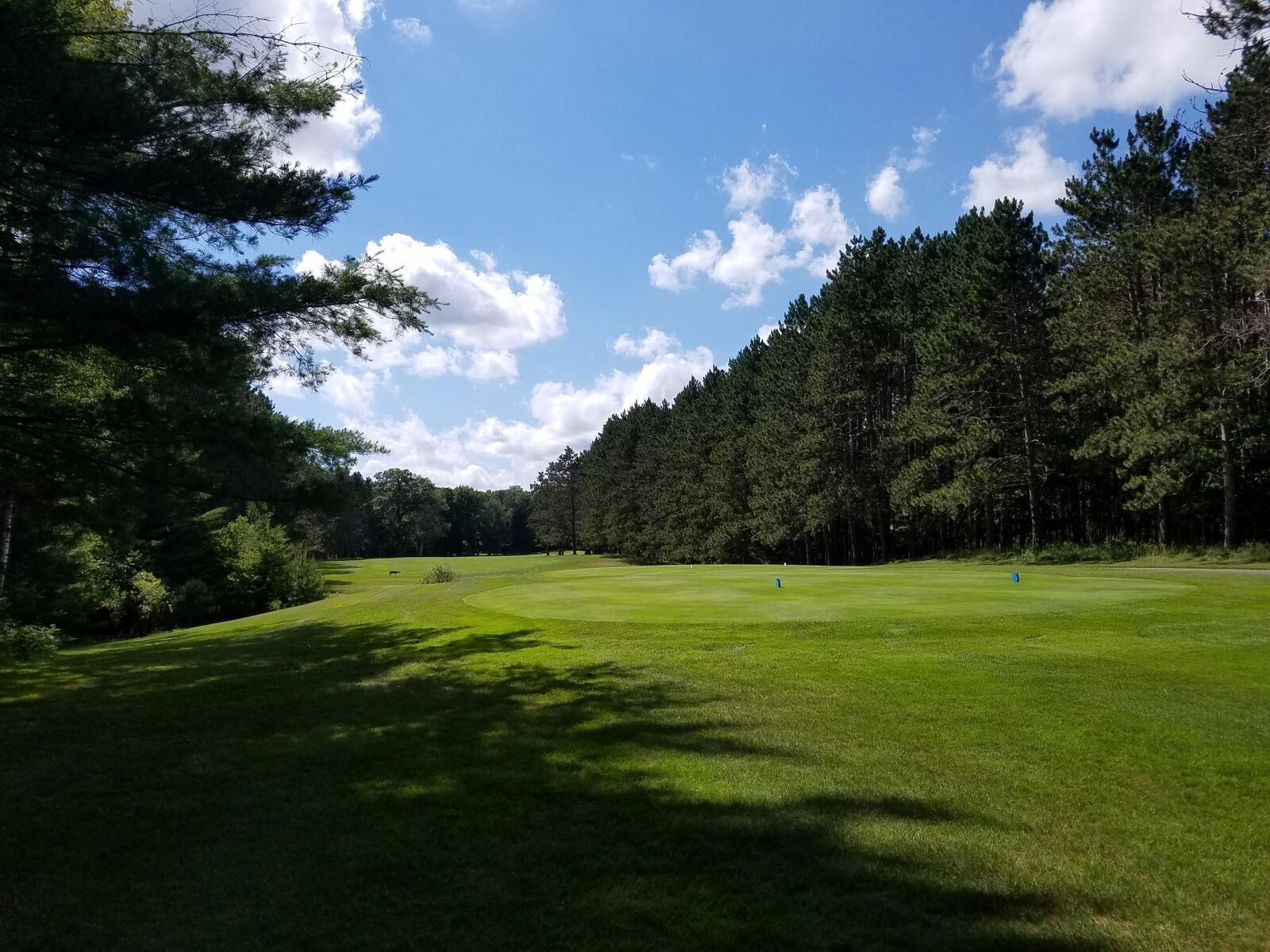 Property Photo: 2154 Michaywe Drive MI 49735