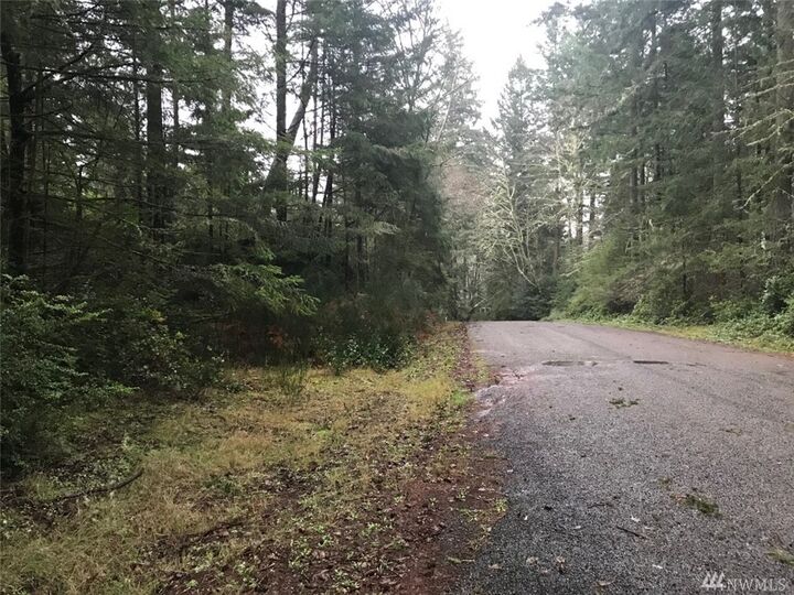 Property Photo:  11115 108th St  WA 98303 