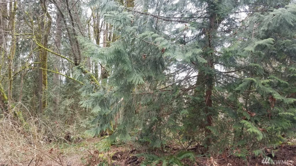 Property Photo:  590 E Wood Lane  WA 98584 