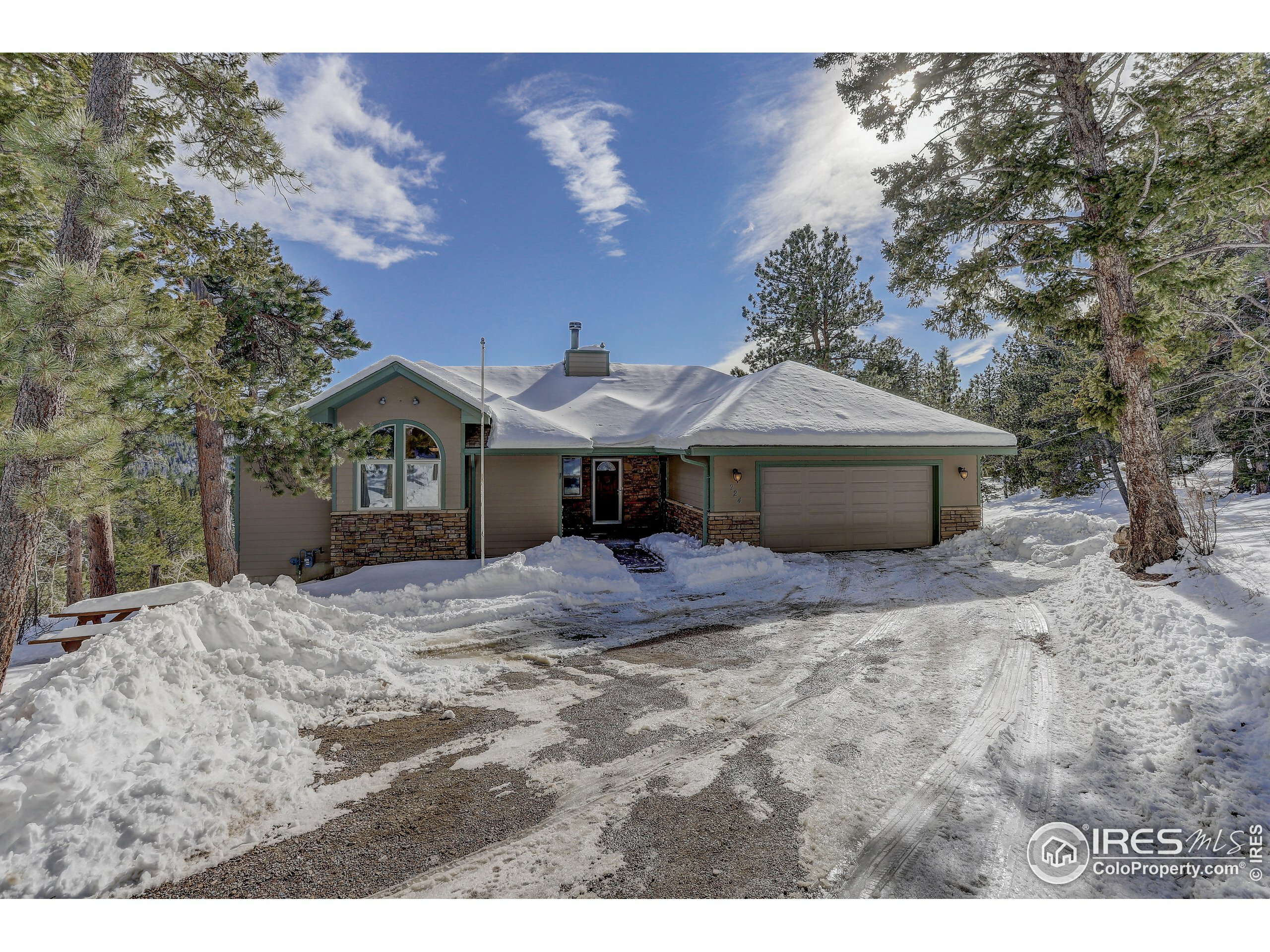 Property Photo:  224 Foxtail Cir  CO 80422 