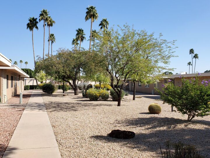Property Photo: 13674 N 108th Drive AZ 85351
