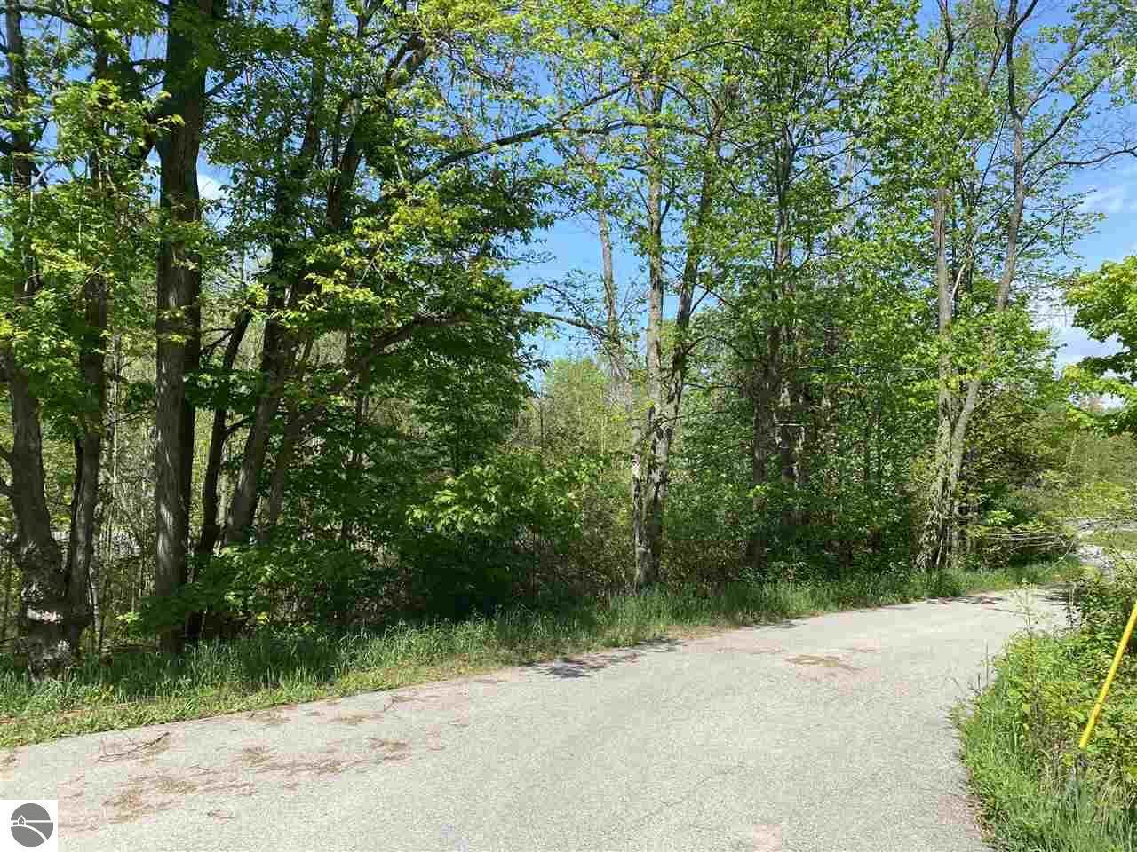 River Road  Frankfort MI 49635 photo