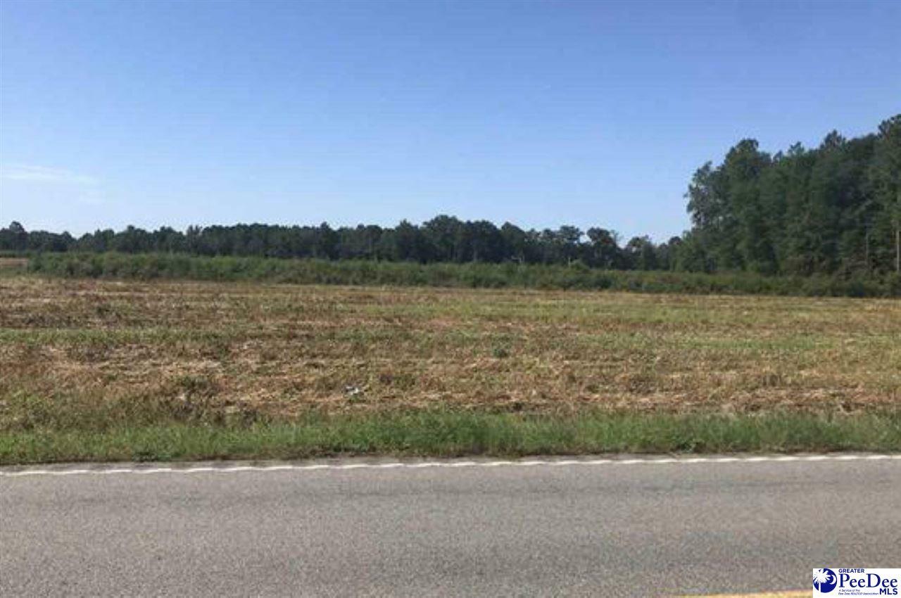 Property Photo:  Lot B Dovesville Hwy  SC 29540 