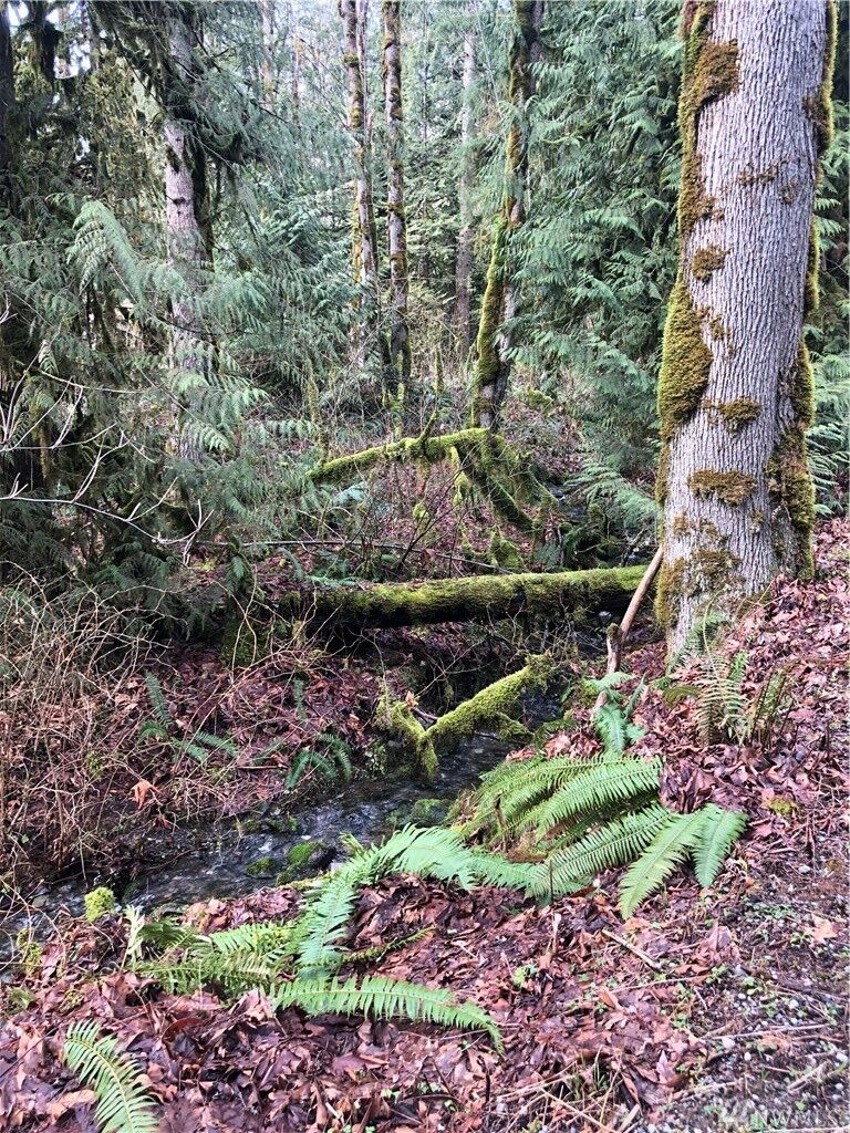 Property Photo:  Xxx Mt. Baker Hwy  WA 98244 