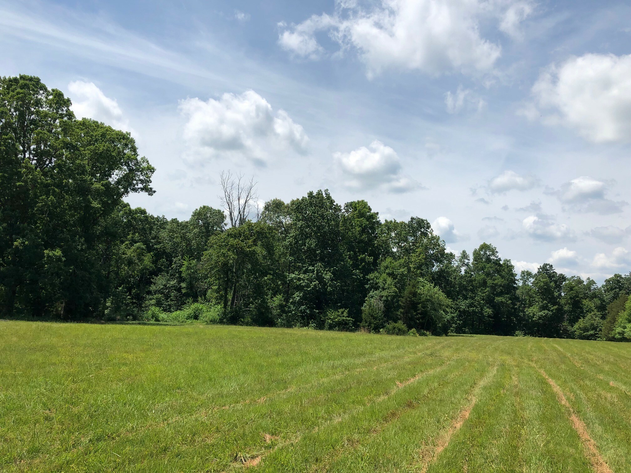 Property Photo: 625 Darbytown Rd TN 38462