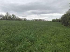 Property Photo:  Tract 3 County Road 2  TN 37370 