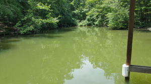 Lot 108 Treasure Tree Rd  Ten Mile TN 37880 photo