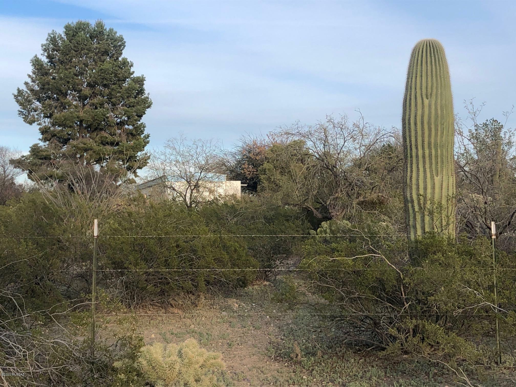 Property Photo: 16201 S Tatanka Lane AZ 85629