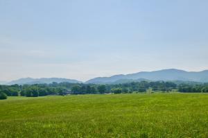 Property Photo:  Lot 3 Whites Mill Rd  TN 37803 