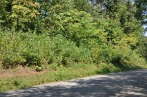 Property Photo:  Dogwood Rd  TN 37763 