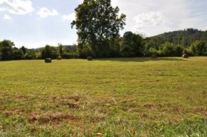 Property Photo:  Sugar Grove Valley  TN 37763 