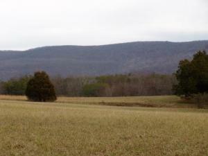 Property Photo:  S Hwy 127 S.  (South Pond Rd.) Rd  TN 38555 