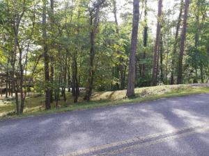 Property Photo:  Norris Freeway &Amp Island Ford  TN 37769 