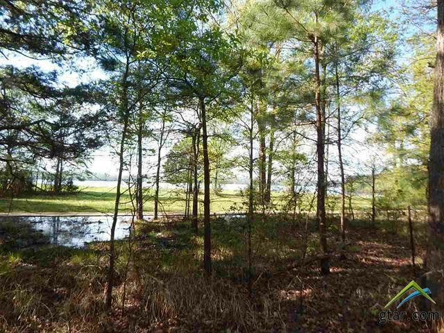 Tbd 2 Acres Cherokee Trace  Gilmer TX 75644 photo