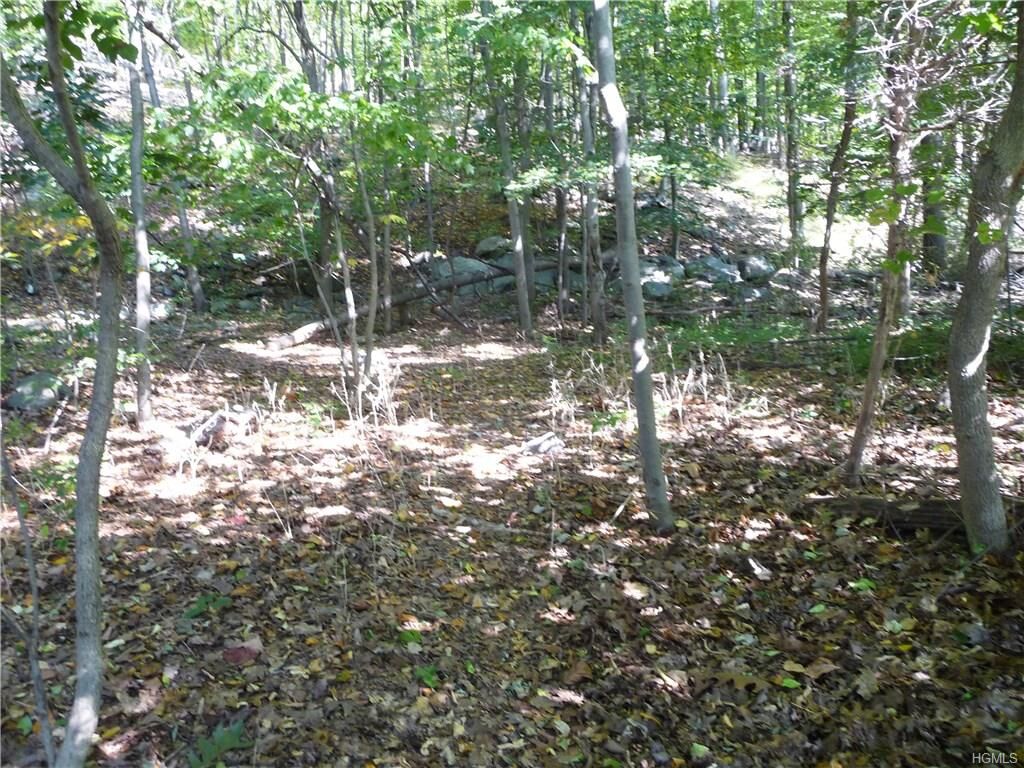 Property Photo: Louise Lane NY 10925