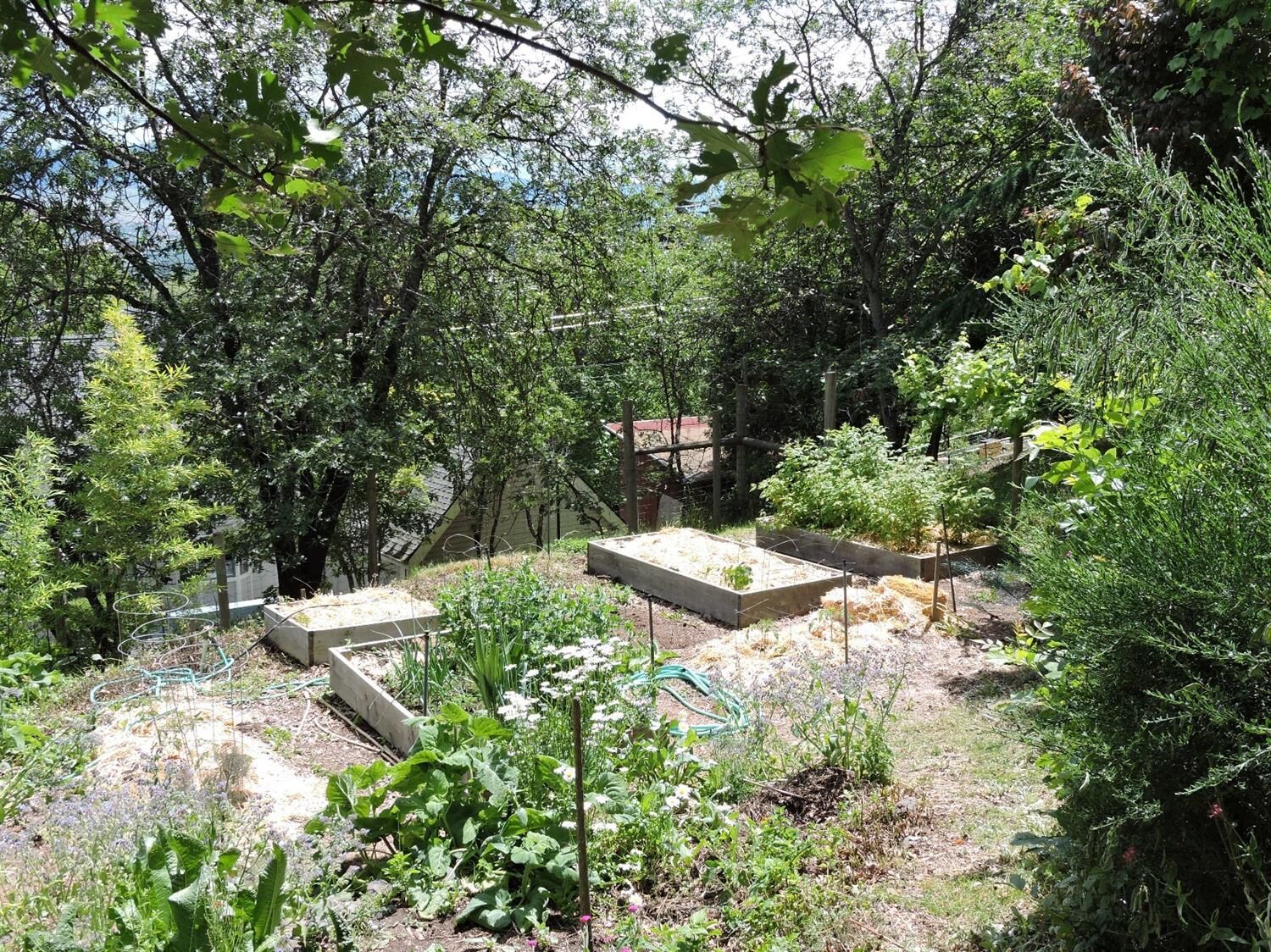 Property Photo: 299 Alta Street OR 97520