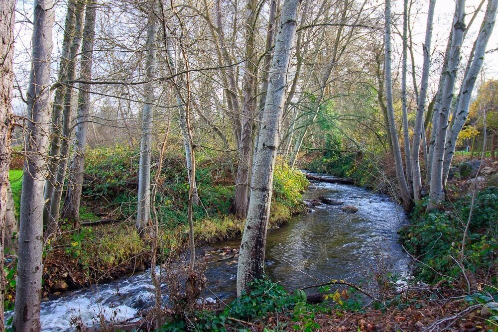 Property Photo: 632 Helman Street OR 97520