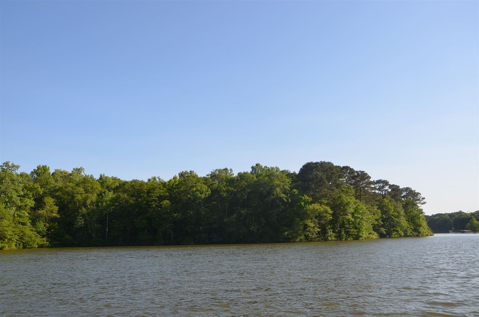 Property Photo: 55 Acres NE Collis Road GA 31024