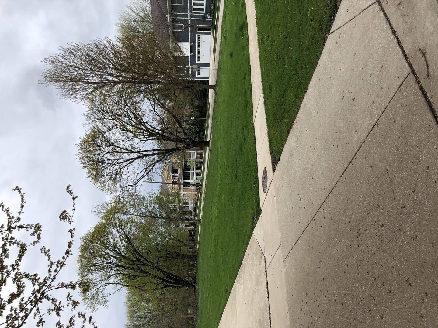 Property Photo: 305 West Franklin Avenue IL 60540