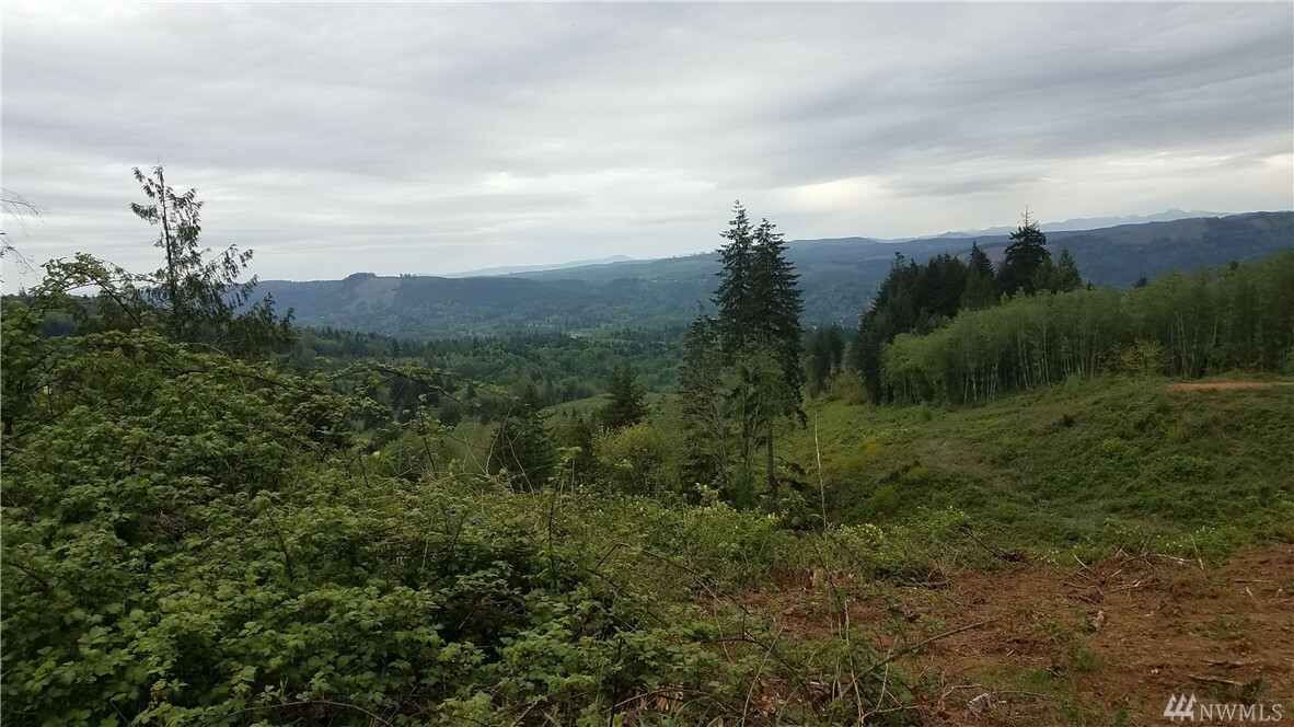 Property Photo:  0 Columbia Heights Rd  WA 98632 