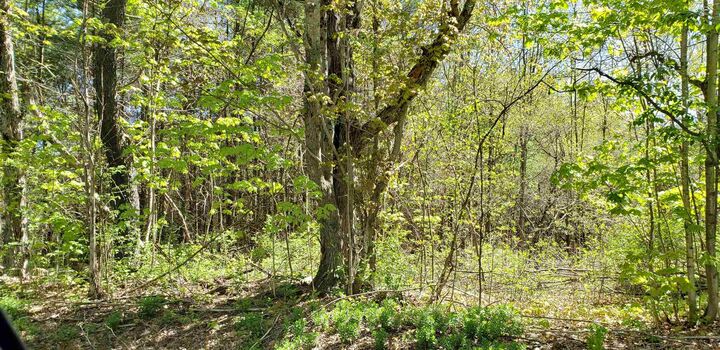 Property Photo:  0 McAdam Road  NH 03467 