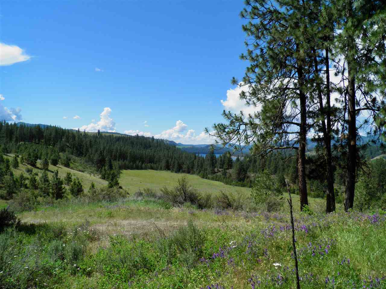 Property Photo:  4422 Hwy 25 S Parcel 1595997  WA 99137 