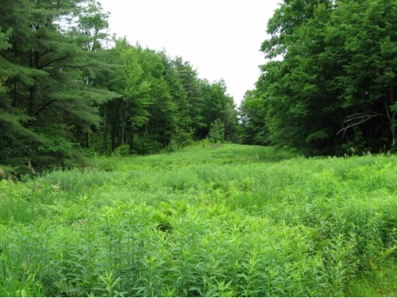 Property Photo:  Gilman Rd  VT 05461 