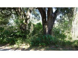 Property Photo:  Lots 12-13 NW 4th Street  FL 33597 