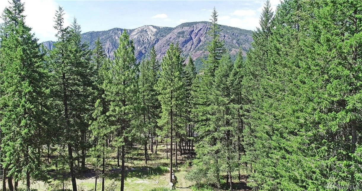 Property Photo:  41 Highland Dr  WA 98862 