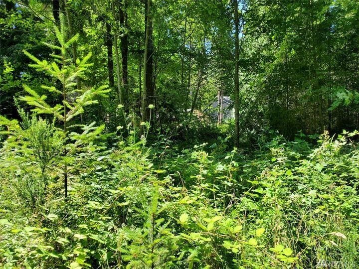 Property Photo:  22230 Bluewater Dr SE  WA 98597 