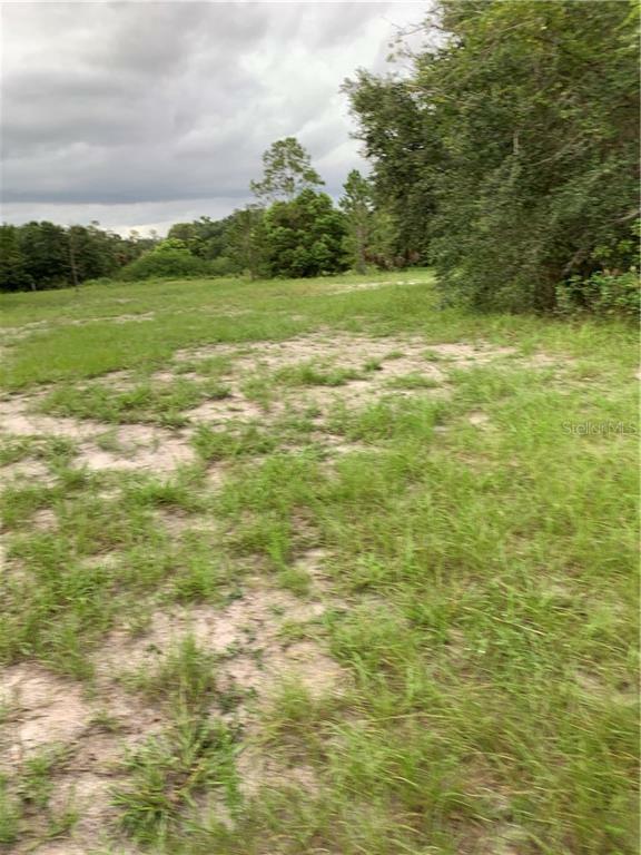 Property Photo:  9905 Harold Bedford Road  FL 33578 