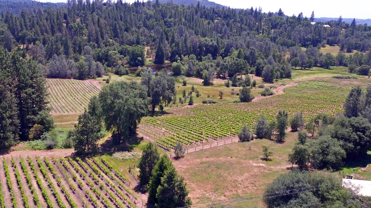 Property Photo:  2145 Hidden Ranch Road  CA 95684 