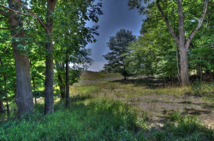 7824 Marion  Harbor Springs MI 49740 photo