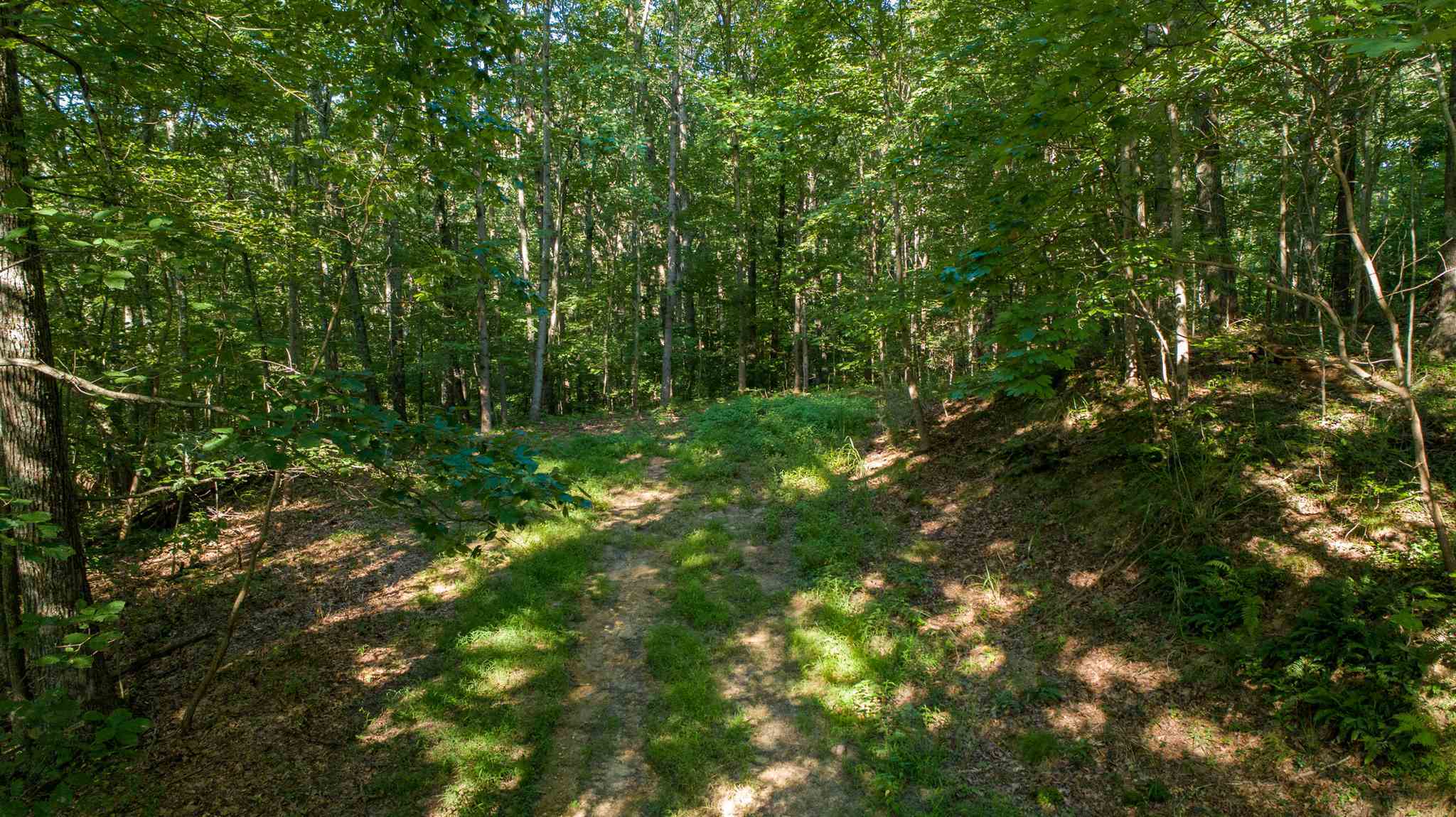 Property Photo:  9.3a S State Road 446  IN 47401 