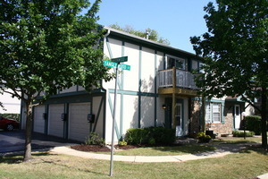Property Photo: 111 Brookwood Court 111 IL 60061
