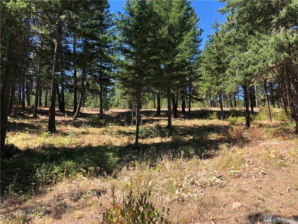 Property Photo:  Xxx Emerick Rd  WA 98922 