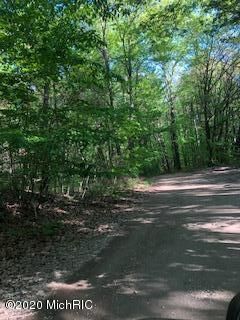 Property Photo: 00 Timber Lane MI 49115