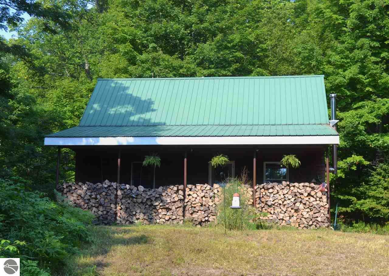 Property Photo:  9776 N Reynolds Road  MI 49684 